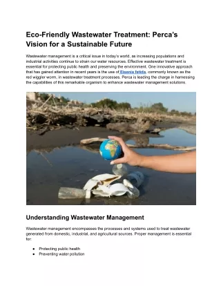 Eco-Friendly Wastewater Treatment_ Perca’s Vision for a Sustainable Future