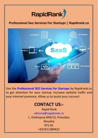 Professional Seo Services For Startups  Rapidrank.co