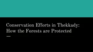 conservation efforts in thekkady how the forests are protected