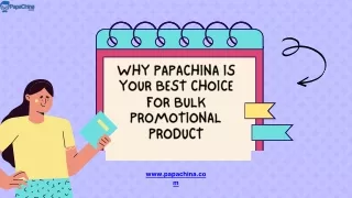 Why PapaChina is Your Best Choice for Bulk Promotional Product