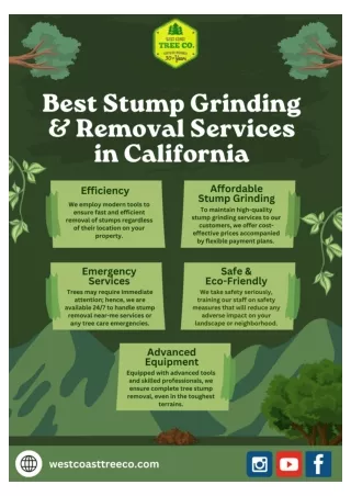 Top Stump Grinding Service in California with Expert Removal Services