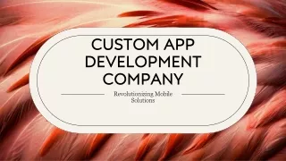 Custom App Development Company