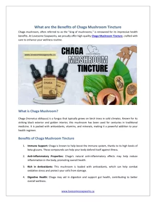 What are the Benefits of Chaga Mushroom Tincture