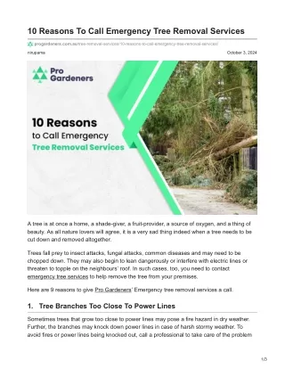 10 Reasons To Call Emergency Tree Removal Services