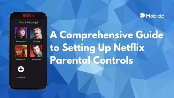 a comprehensive guide to setting up netflix