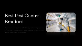 Best Pest Control Bradford