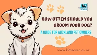 How Often Should You Groom Your Dog