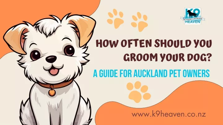 how often should you groom your dog