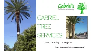 Tree Trimming Los Angeles - Gabrieltreeservices.com