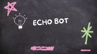 echo bot