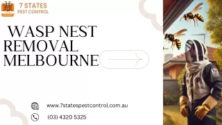 Wasp Nest Removal Melbourne