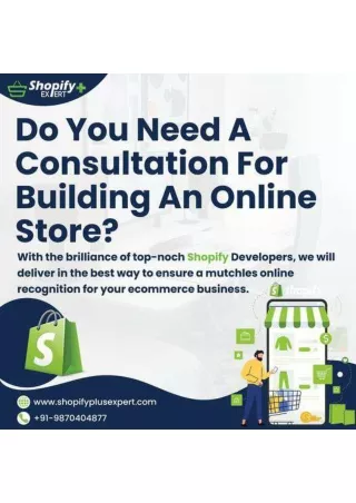 Shopify Plus Expert