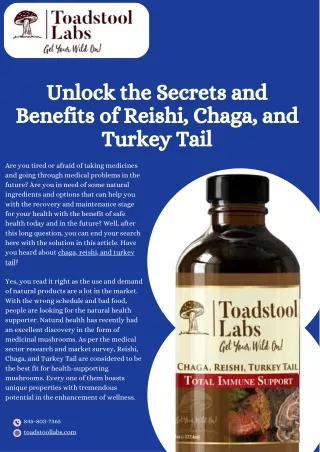 Buy Reishi, Chaga, & Turkey Tail Mushrooms - Boost Your Wellness Today