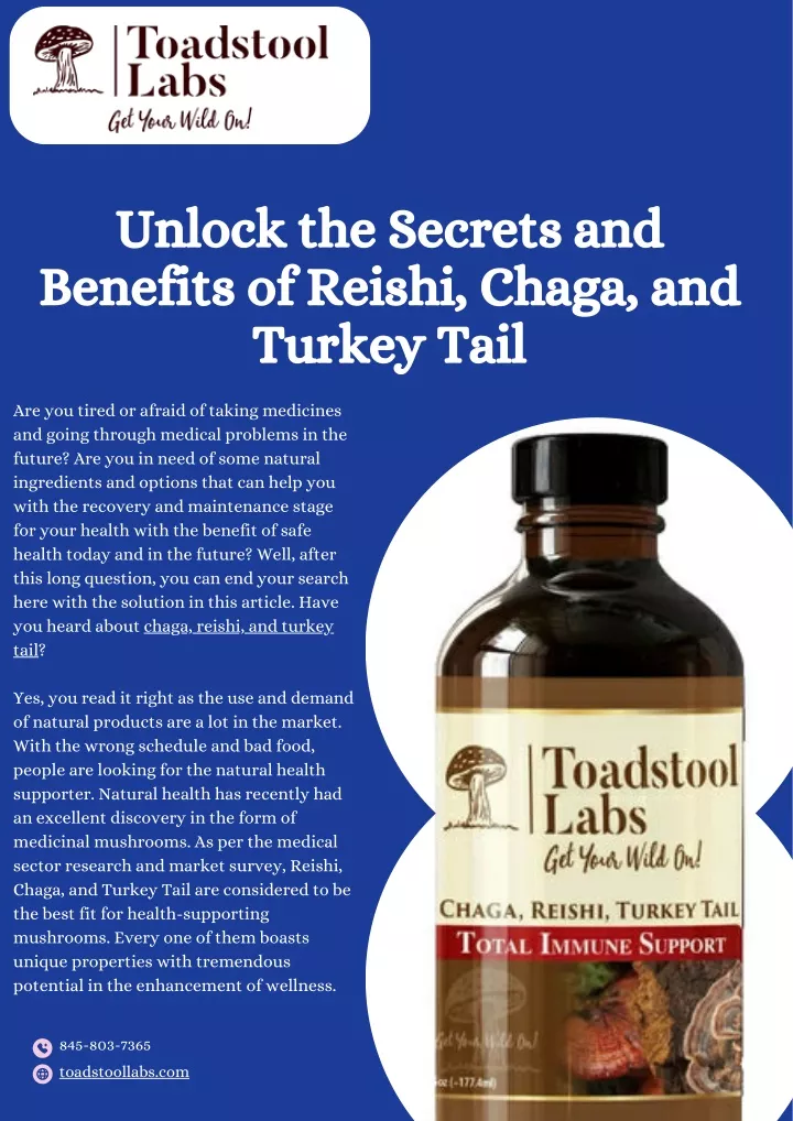 unlock the secrets and benefits of reishi chaga