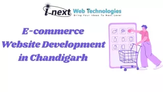 E-commerce  Website Development in Chandigarh