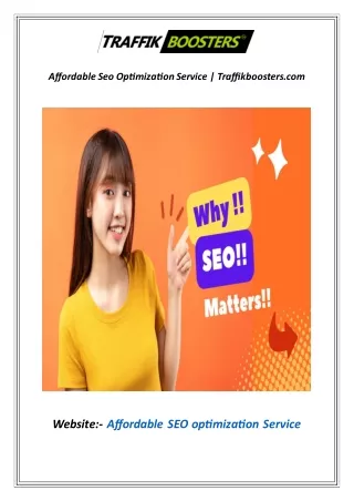 Affordable Seo Optimization Service | Traffikboosters.com
