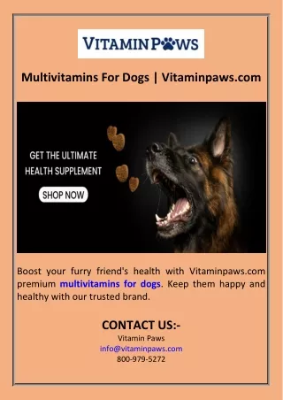 Multivitamins For Dogs  Vitaminpaws.com