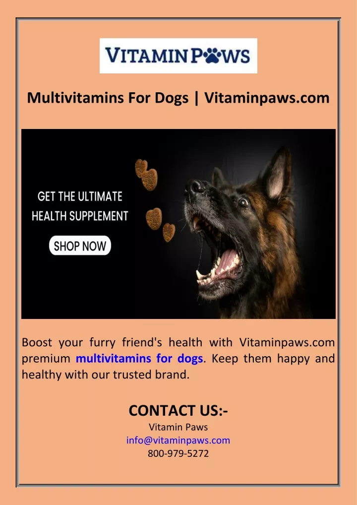 multivitamins for dogs vitaminpaws com