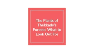 The Plants of Thekkady’s Forests_ What to Look Out For