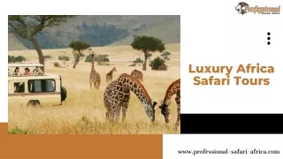 Luxury Africa Safari Tours