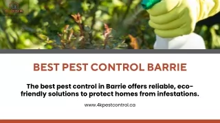 Best Pest Control Barrie