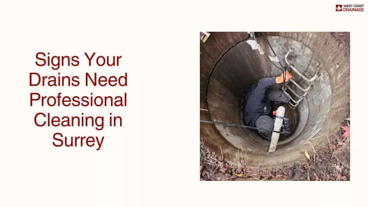 signs your drains need professional cleaning