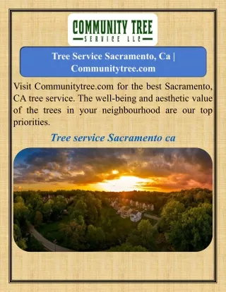 Tree Service Sacramento, Ca   Communitytree.com