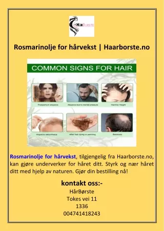 Rosmarinolje for hårvekst  Haarborste.no
