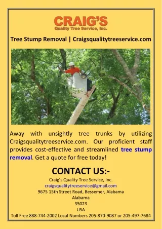 Tree Stump Removal  Craigsqualitytreeservice.com
