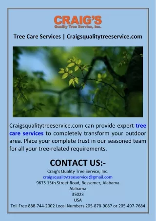 Tree Care Services  Craigsqualitytreeservice.com
