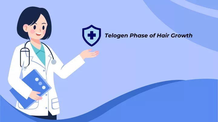 telogen phase of hair growth