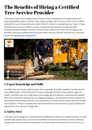 The Benefits of Hiring a Certified Tree Service Provider (1)