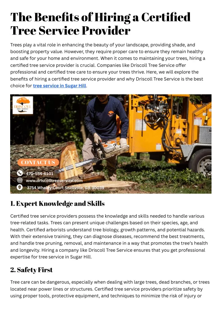 the benefits of hiring a certified tree service