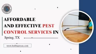 affordable and effective pest control services in