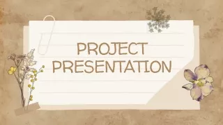 project presentation