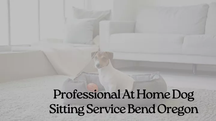 professional at home dog sitting service bend