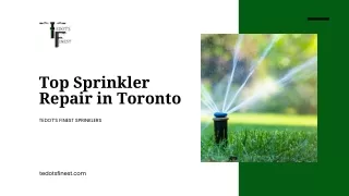 Top Sprinkler Repair Company in Toronto | Tedot's Finest Sprinklers