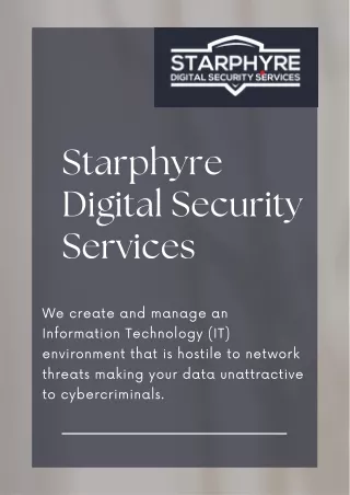 Protect Your Digital World with Cyber Security Services in Santa Maria