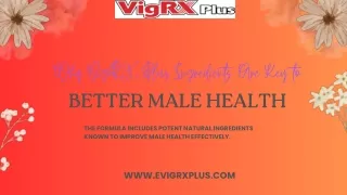 Why VigRX Plus Ingredients Are Key to Better Male Health