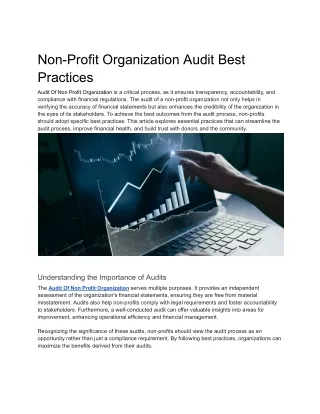 Non-Profit Organization Audit Best Practices