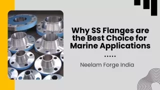 why ss flanges are the best choice for marine
