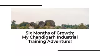 six month industrial training