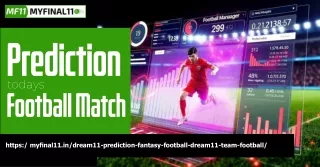 https my nal11 in dream11 prediction fantasy
