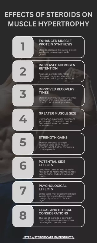 Effects of Steroids on Muscle Hypertrophy
