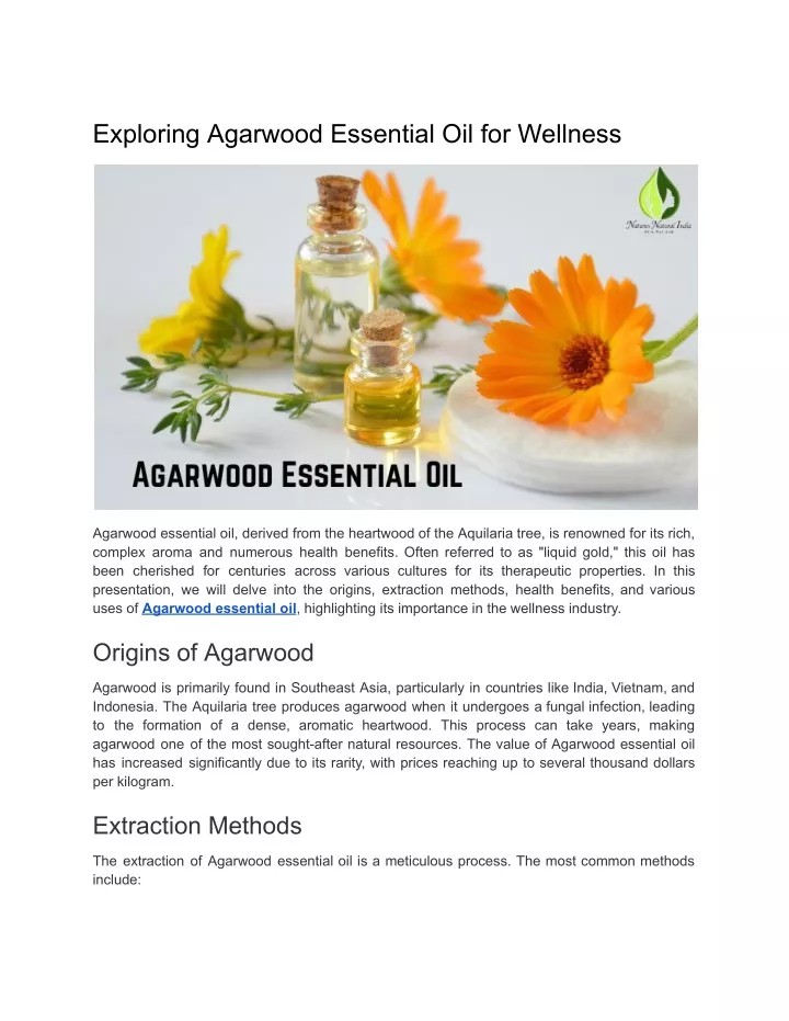 exploring agarwood essential oil for wellness