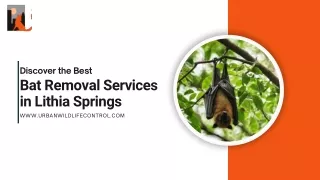 Effective Bat Removal Services in Lithia Springs | Urban Wildlife Control