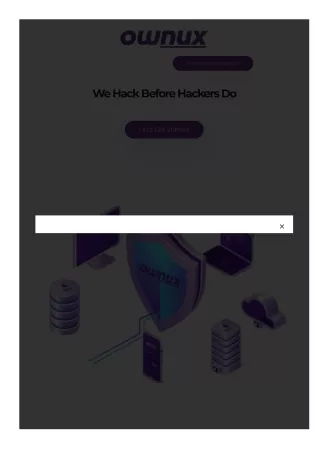 software penetration testing