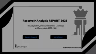 Reservoir Analysis Market