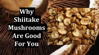 why shiitake mushrooms are good for you