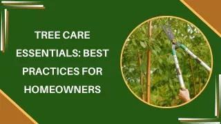 Tree Care Essentials: Best Practices for Homeowners